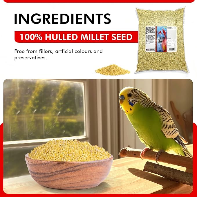 Morning Bird Hulled Millet 9 lbs – Nutritious Hulled Millet Seed, Easily Digestible with High Fiber, Rich in Vitamins and Supplements for Birds, Ideal Bird Feed for All Bird Types.