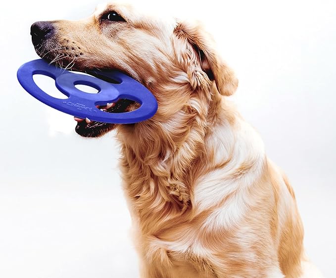 SuperChewy Tough Tug-of-War Flying Disc Toy | Lifetime Replacement | Strong Natural Rubber | Great Tug Disc Fetch Toy for Dogs | Ultra Durable Chew Toys for Aggressive Chewers | for All Breeds