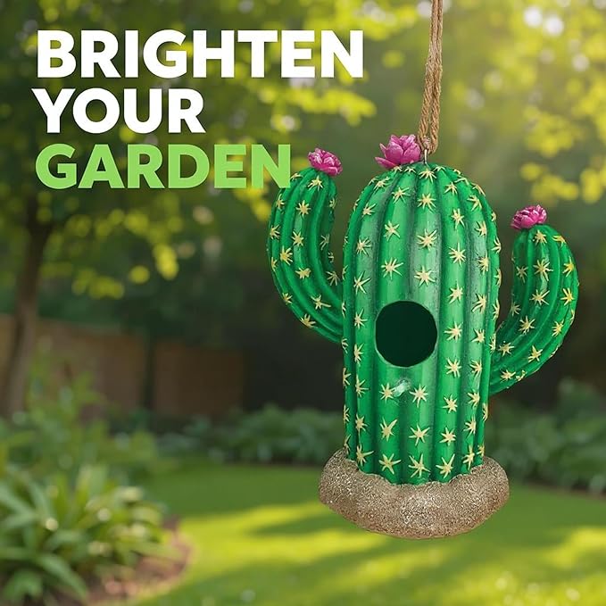 Spoontiques - Birdhouse - Garden Décor - Decorative Bird House for Yard and Garden Decoration - Hanging Novelty for Outdoor Patio - Cactus Birdhouse, Green