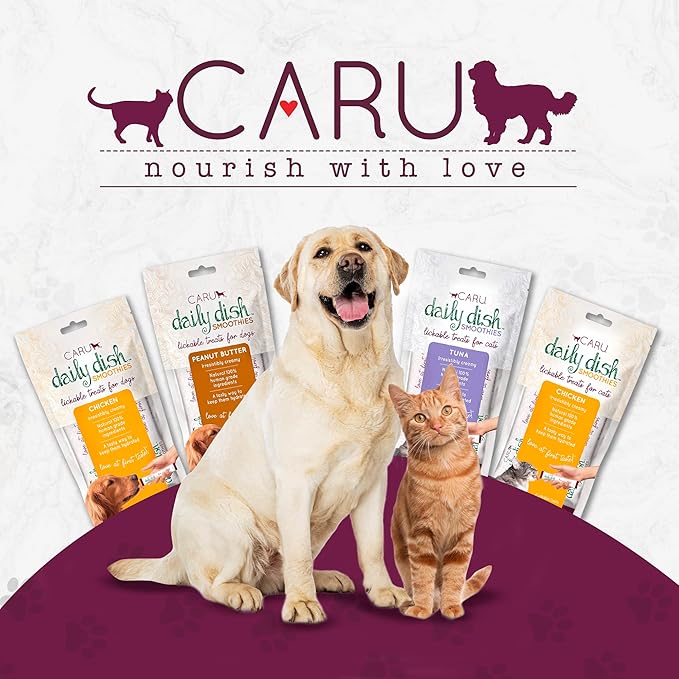 Caru - Daily Dish Smoothies - Lickable Chicken & Salmon Cat Treat - 4 Pouches per Pack - Pack of 12