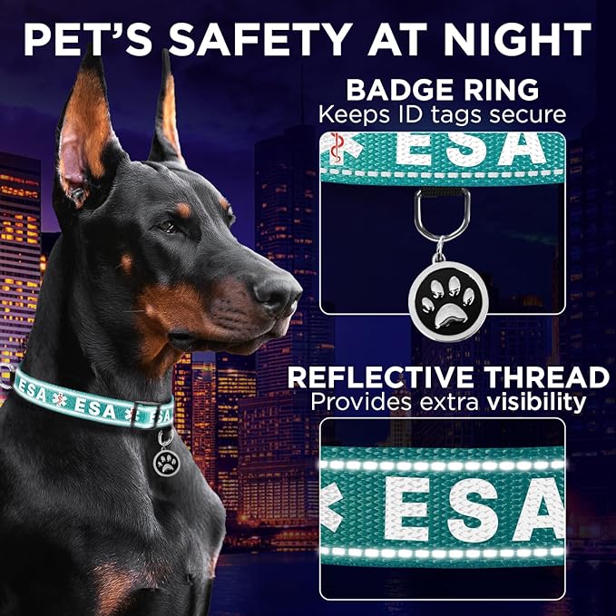 TECEUM Reflective Pet Collar β Teal - ESA β M β Extra Soft Padding β Basic Nylon Dog Collar β Quick Release Buckle β Fits Small, Medium and Large Dogs, Puppies, Cats β ESA & Service Dog Options