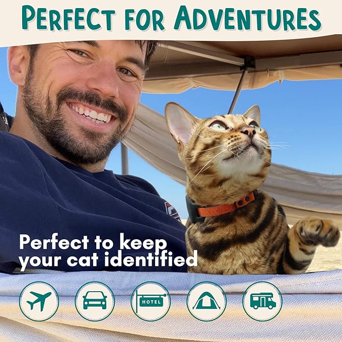 OutdoorBengal Durable Cat Collar Breakaway with Soft Padding for medium to large cats - Thin Heavy Duty Tactical Fabric, Comfortable, Quick Release Breakaway Cat Collars, No Bell Collar (Black, Adult)