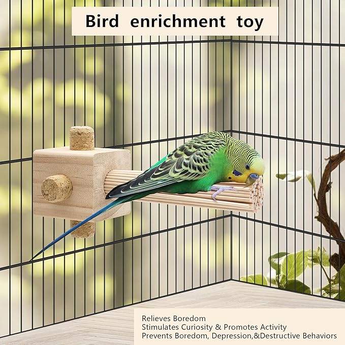 2 Pcs Parrot Chewing Stopper Toy Stand Perches Lollipop Stick Bird Toy Intelligence and Emotions Wood Foraging Toys for Parrots Cage Accessory (Wood-Lollipop, 2 Pack)
