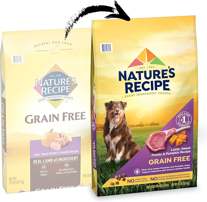 Nature’s Recipe Grain Free Lamb, Sweet Potato & Pumpkin Recipe Dry Dog Food, 24 lb. Bag