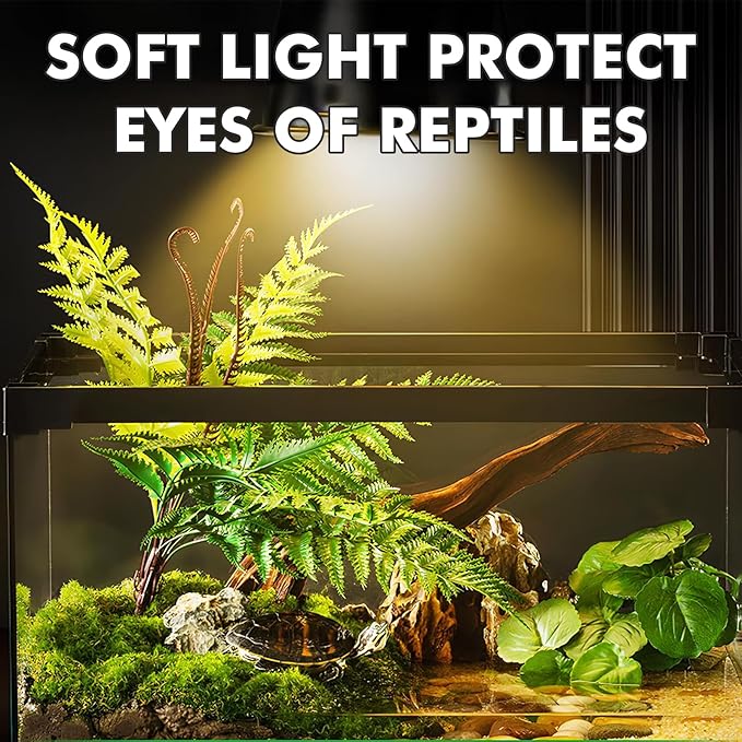 Reptile Heat Lamp, 100W Heat Lamp Bulbs for Reptiles 2 Pack, Amphibians Basking Heat Lamp Bulbs, UVA Daylight Basking Light for Reptiles, Bearded Dragon, Lizard, Turtle, Chicken