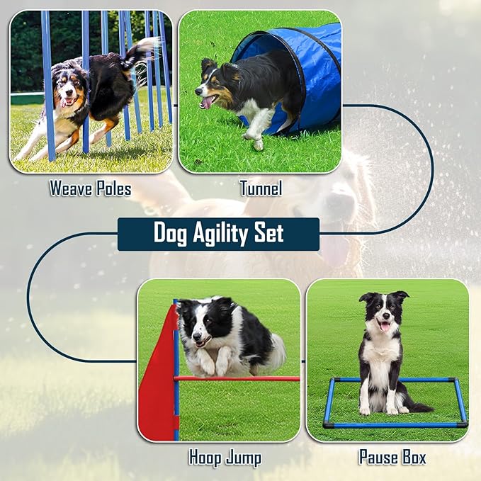 Dog Agility Course Backyard Set, Dog Agility Equipment, Portable Agility Training Equipment for Dogs, Build Dog Obstacle Course Backyard with 2 Tunnels, 3 Jumps, 6 Weave Poles & More, Dog Training Kit