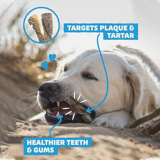 SKIPPER'S Cod Fish Skin Twists Dog Chews - 100% Fish Skin Grain Free Treats for Dogs, High in Protein & Low in Fat, Essential Omega 3 Oils | Great for Teeth (Regular, 8.82 Oz)