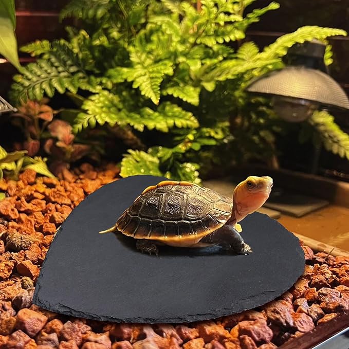 Reptile Basking Platform, 10 × 10 inch Tortoise Rock Plate, Heart Shape Natural Rock Reptile Food Dish, Turtle Feeding Bowl, Habitat Decor for Bearded Dragon Chameleon Frog Lizard Gecko Hermit Crab