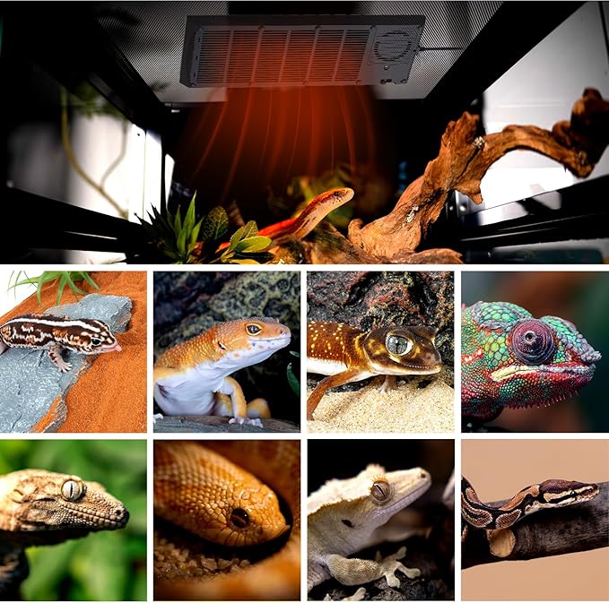 REPTI ZOO Reptile Heat Panel Adjustable Temperature Reptile Heating Plate, Mountable Under Lid, for Hermit Crabs/Leopard Geckos/Turtles/Snakes/Lizards