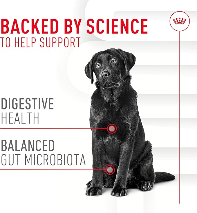 Royal Canin Digestive Supplement Soft Chews for Adult Dogs 8.47 oz (60 Count)