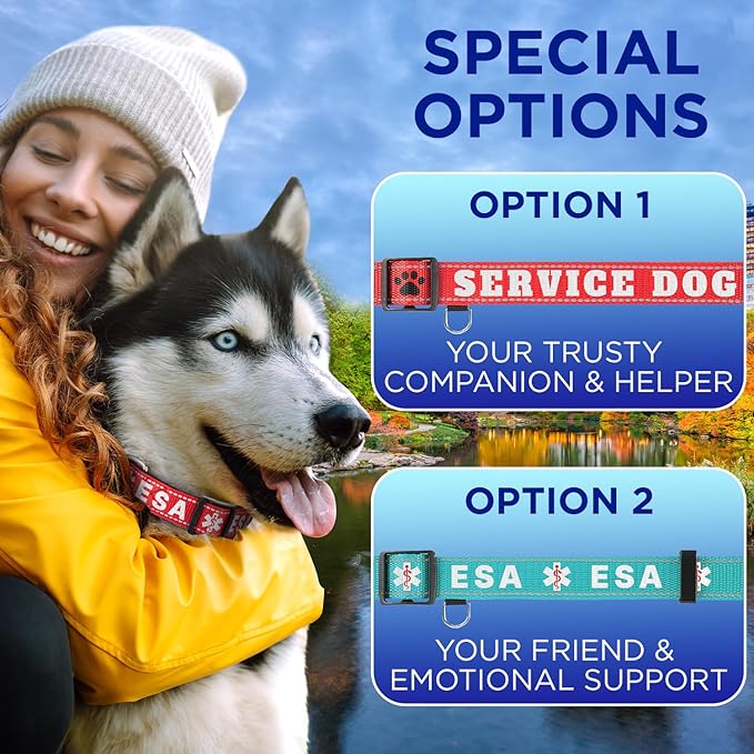 TECEUM Reflective Dog Collar β Pink β S β Extra Soft Padding β Basic Nylon Pet Collar β Quick Release Buckle β Fits Small, Medium and Large Dogs, Puppies, Cats β ESA & Service Dog Options