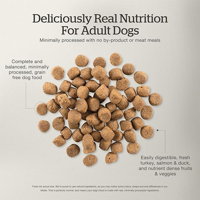 Now Fresh Grain-Free Dry Dog Food with Turkey, Salmon & Duck, Healthy Kibble for Adults Made with Real Meat & Fish, Chicken-Free, Enhanced with Pumpkin & Probiotics for Good Digestion, 12 lb Bag
