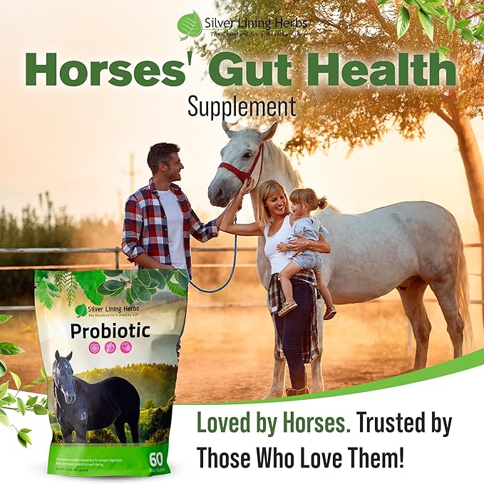 Silver Lining Herbs Horse Probiotics Digestive Supplements - Digestive Enzyme & Gut Health Probiotic Supplement for Horses - Contains 13.2 Billion CFUs Probiotic Strains - 1.25 lb 60-Day Supply