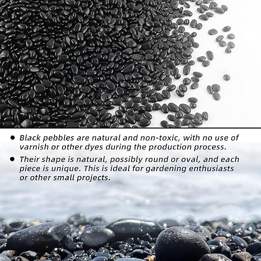 7lb 1/4" Small Pebbles Black for Plants,Potting,Succulents Aquarium Fish Tank Vases Decorative Garden Polished Gravel Rocks Stones