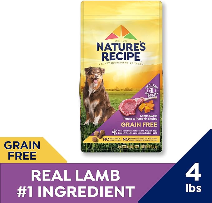 Nature's Recipe Grain Free Dry Dog Food, Lamb, Sweet Potato & Pumpkin Recipe, 4 lb. Bag