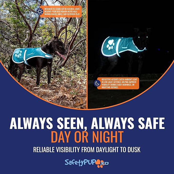 Dog Reflective Vest – Hi-Vis Fluorescent Visibility That Helps to Safeguard Your Pet On/Off Leash in Urban & Rural Areas (Teal, X-Large)