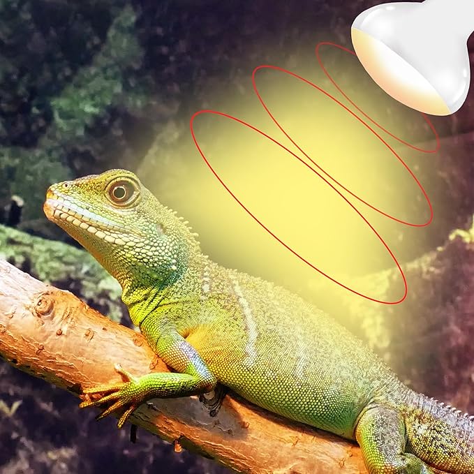 100W E26 Reptile Heat Lamp Bulbs - Upgraded UVA Amphibian Basking Spot Light, Simulated Sunlight for Bearded Dragon, Lizard, Tortoise & Chics, Daylight Bulb for Aquariums and Tanks| 2 Pack