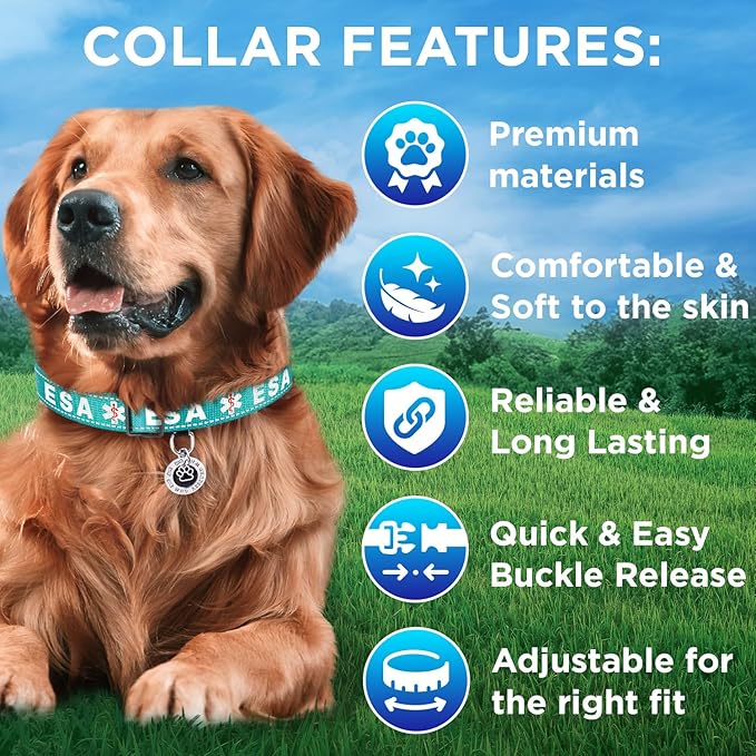 TECEUM Reflective Pet Collar β Teal - ESA β M β Extra Soft Padding β Basic Nylon Dog Collar β Quick Release Buckle β Fits Small, Medium and Large Dogs, Puppies, Cats β ESA & Service Dog Options