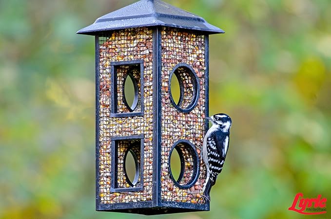 Lyric Woodpecker Wild Bird Seed, No Waste Bird Seed with Nuts, Dried Fruit & Shelled Seeds - 20 lb. Bag