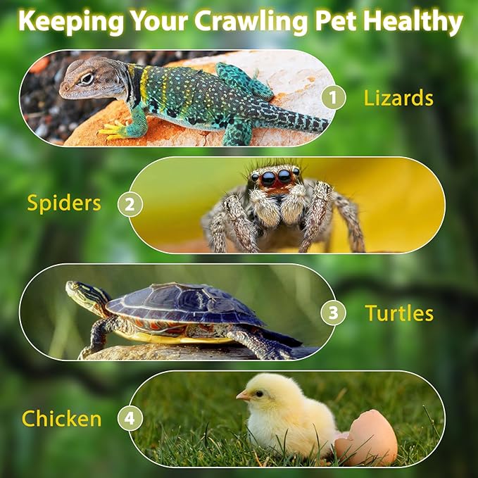 Infrared Heat Lamp,Reptile Heat Lamp, basking bulb 100w 4 Pack, basking light for bearded dragon, UVA UVB reptile light bulb for Bearded Dragon, Turtles, Tortoise, Lizard, Snake, Chameleon, Chicken