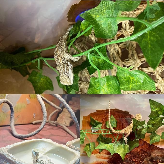 Crested Gecko Coconut Hut with Ladder,Natural Bearded Dragon Coco Den Reptile Shell Hideout Husk Hut Climbing Plants Leaves Tank Accessories for Lizard Chameleon Snakes