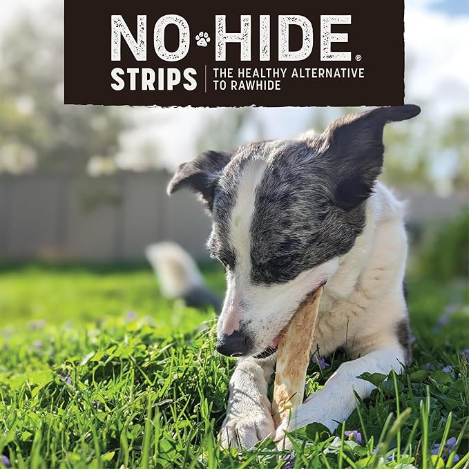 Earth Animal No Hide Strips Barbeque Smoked Chicken & Turkey Flavored Natural Treats | No Rawhide | Quick & Thin Dog Chews - 4 Count