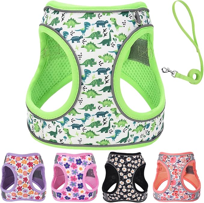 Small Dog Harness and Leash Set, Step in Dog Harness No Pull for Walking Running Training, Puppy Essentials for Dogs Cat Bunny, Adjustable Reflective Dog Vest Harness. (Green, S)