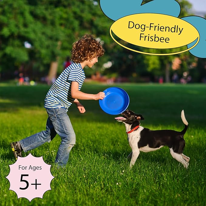 Wham-O Frisbee Fastback Flying Disc, 9.35 Inch Dog-Friendly Lightweight Toy for Professional Players Outdoor Beach Park Backyard Game - 100g