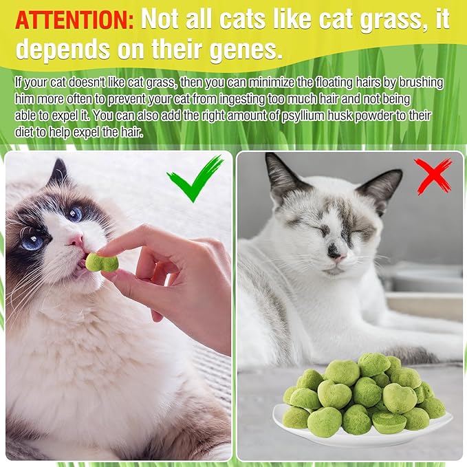 Cat Grass Teething Sticks, 3.52Oz Edible Freezed Drying Cat Grass Treats, Cats Snacks for Hairball Removal and Dental Care