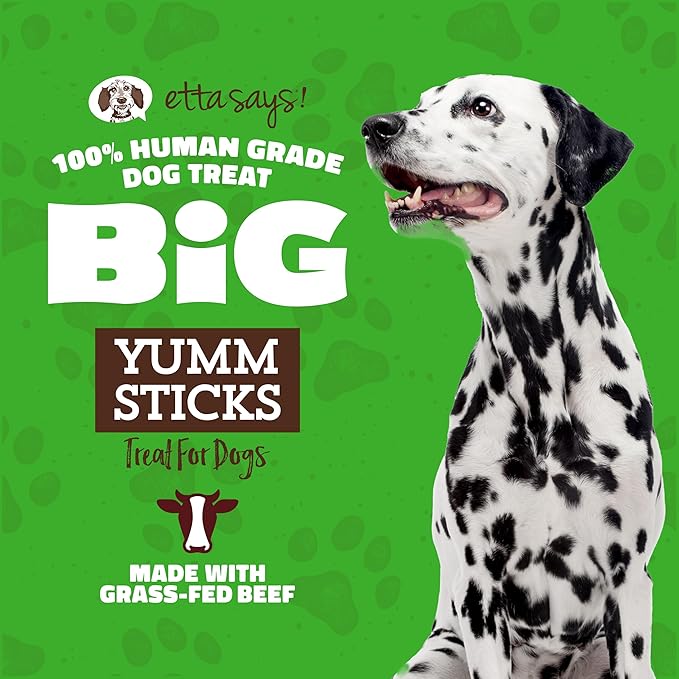 etta says! Big Yumm Sticks - Real Meat Beef Dog Jerky Treats - Human Grade - Made in The USA (12 Count Pack of 1)