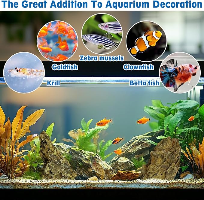 Hamiledyi 5 PCS Natural Aquarium Rocks 2" to 9" Dragon Stone Aquarium Decor Rocks Aquascape Rocks Landscaping Model for Fish Tank Terrariums Vivariums