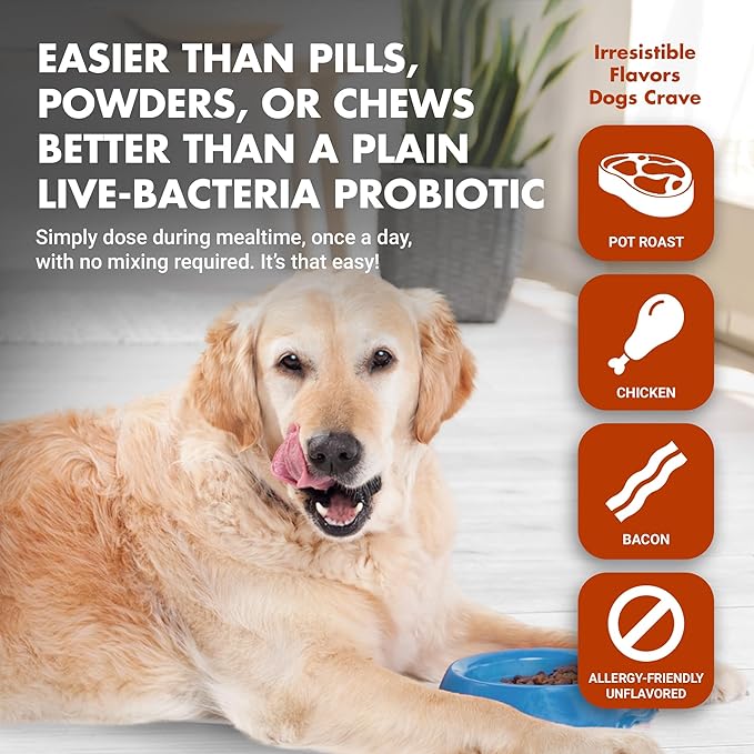 Pre & PostBiotic Support for Dogs – Digestive Upset, Stool Quality & Sensitive Stomach Support – Easy Liquid Formula for Picky Eaters