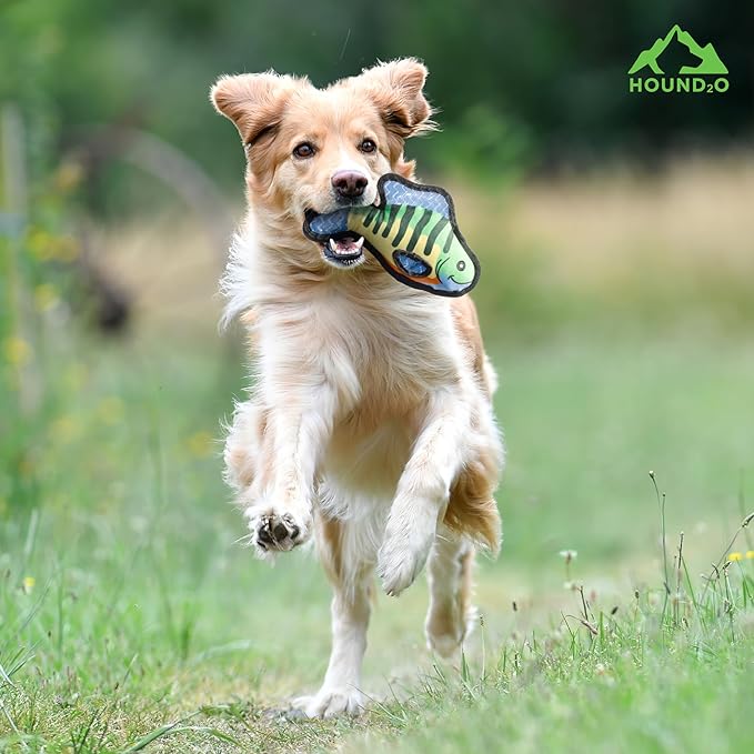 Dog Toys | Plush Toy Fish Bluegill Stuffed Animal for Dogs | Outdoor Toy - Easy to Clean and Made from Non Toxic Materials