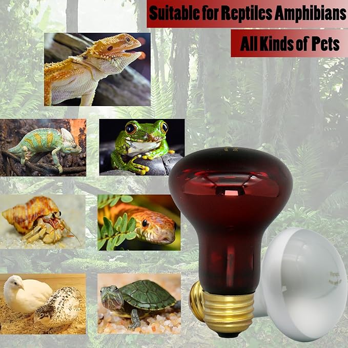 Reptile Heat Lamp Bulb 100 Watt, Day Time & Night Basking Spot Light Combo Pack, Amphibians Infrared Red Heat Light Bulb and Daylight Heating Lamp for Bearded Dragon, Leopard Gecko, Chicken, 4 Pack