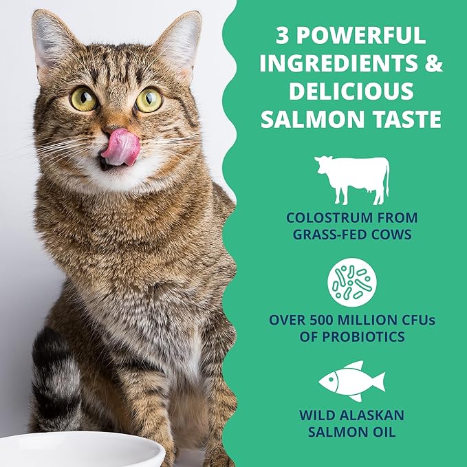 Under the Weather Colostrum Gel for Cats Immune Support Supplement | Salmon Oil & Probiotic Supplement | Natural Allergy Relief, Gut Health & Anti-Inflammatory Formula for Kittens & Senior Cats | 30cc