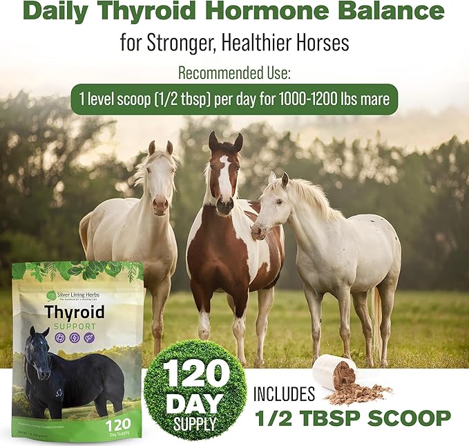 Silver Lining Herbs Thyroid Support for Horses β Herbal Horse Supplement for Normal Thyroid Function, Hormone Balance & Healthy Metabolism with Irish Moss, Kelp, Parsley β 120-Day Supply