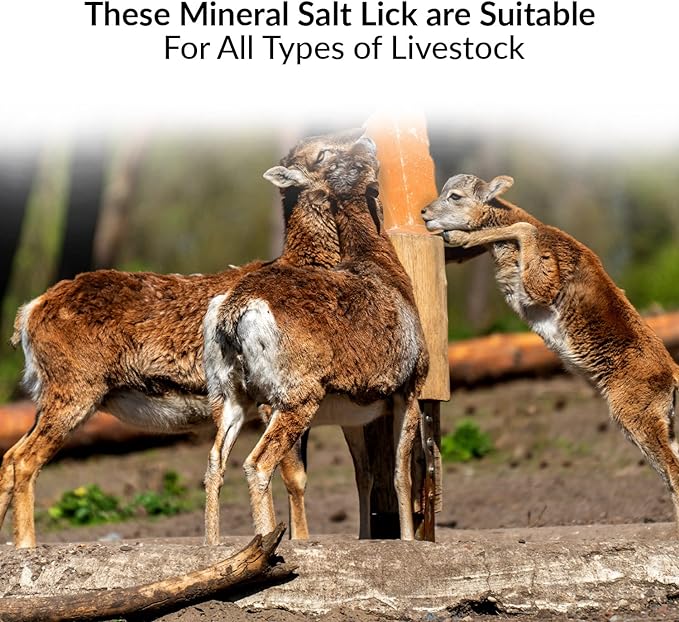 100% Natural Himalayan Rock Deer Salt Licking Block - Animal Licking Mineral Salt Block, Natural Feed Salts Bricks For Deer and Livestock Animals - 5 Lbs, 2x4x8 inch, Pack of 1