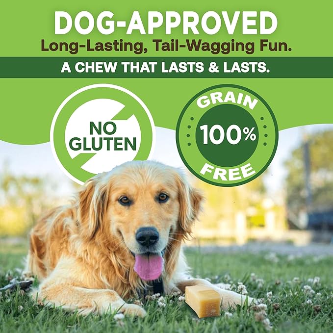 EcoKind Premium Gold Yak Cheese Himalayan Dog Chews, Dog Treats Large Breed, All Natural, High Protein Dog Chew, Cheese, Large - 1 Chew