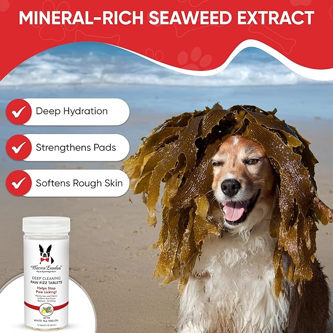 Warren London Deep Cleaning Paw Soak for Dogs – 300 Count Fizz Balls | Groomer-Size | Soothes Itchy, Irritated Paws with Seaweed, Tea Tree Oil & Aloe | Anti-Lick Paw Relief & Easy 5-Minute Spa