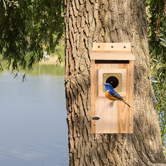 Bird Houses for Outside with Copper Guard,Thicken Wooden Bluebird House Clearance Garden Country Cottages, Nesting Box for Finch Swallow Wren Chickadee Wild Bird Supplies