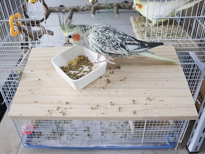 13.6ร7.9 Inches Large Bird Perch Stand Platform, Natural Wooden Small Animals Cage Accessories, Rectangle Stand Perch Shelf for Parrot Parakeet Cockatiel Rat Hamster Guinea Pig Conure Chinchillas