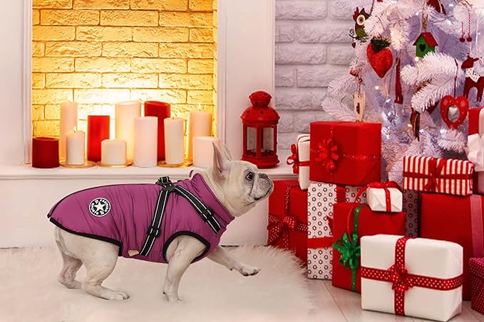 Aiboria Dog Jackets for Winter Windproof Waterproof 2 in 1 Outfit Cold Weather Coat Dog Vest Harness Puppy Winter Warm Jacket Purple XXL