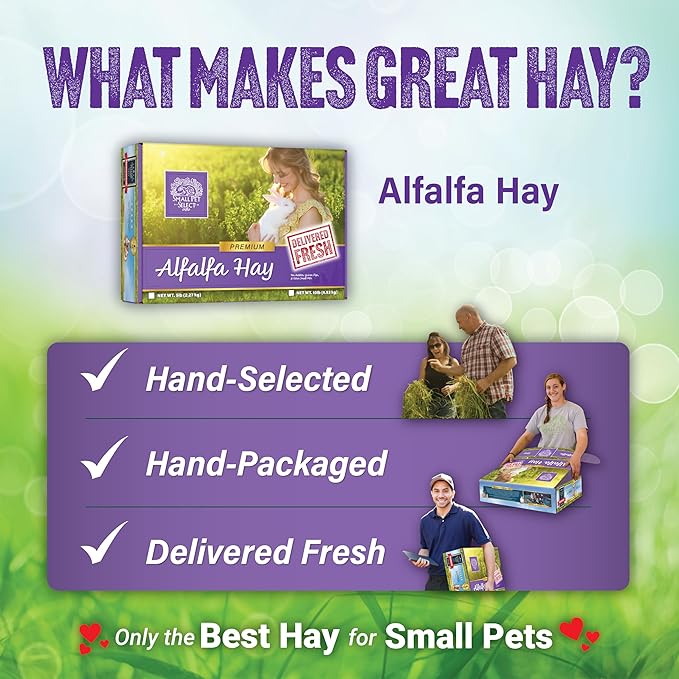 Small Pet Select Alfalfa Hay Pet Food for Young Rabbits, Guinea Pigs, Chinchillas, Tortoises and Other Small Animals, Easy to Store Box, 5 LB