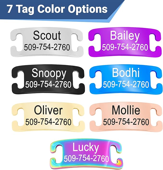 GoTags Personalized Cat Collars with Tag, Engraved Custom Cat Collar with Name and Phone, Breakaway Collar with Safety Buckle and Bell, Adjustable for Cats and Kitten (Pink with Nameplate)