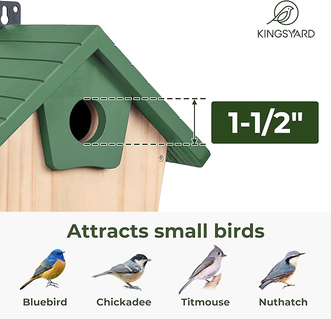 Kingsyard Blue Bird House for Outside - Cedar Wood Nesting Box with Clear View Panel & Predator Guard for Bluebird Wren Swallow Cardinal Finch, Green