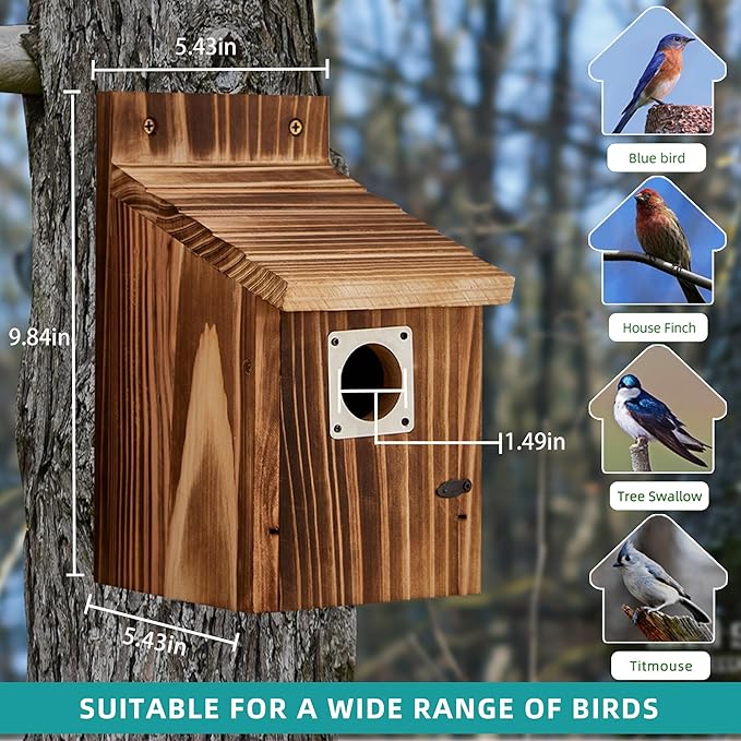 2 Pack Bird Houses for Outside with Metal Predator Guard for Bluebird Wren Swallow Finch-Carbonized Wooden Nesting Boxes for Outdoor Sturdy Bird House,Easy to Clean,No Assembly Needed
