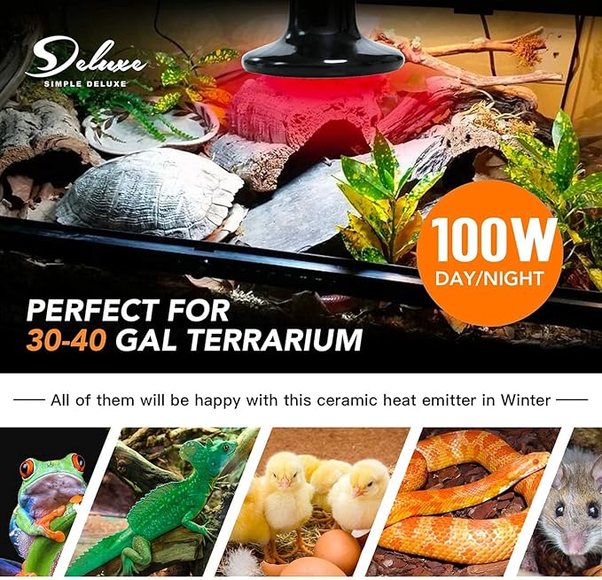 Simple Deluxe 100W 2-Pack Ceramic Heat Lamp Reptile Heat Emitter Heater Lamp Bulb No Light with Free Digital-Thermometer, for Pet Brooder Coop Chicken, Dragon Turtle Lizard Snake Aquarium Tank