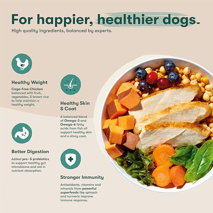 Jinx Premium Grain-Free Dry Dog Food, for All Lifestages - Real Chicken, Sweet Potato & Carrot Kibble with Superfoods for Immune Support & Probiotics for Digestive Support - No Fillers - 4lb
