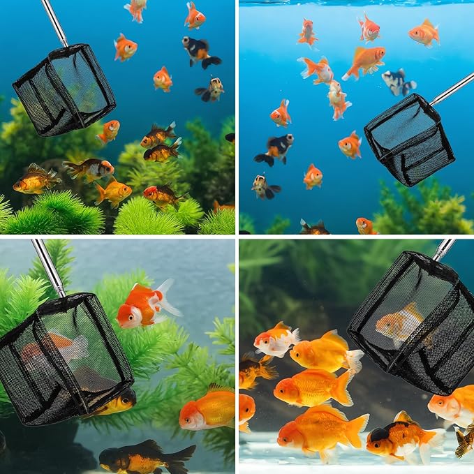2 Pack 3 Inch Aquarium Net Small Fish Net Black Aquarium Shrimp Nets with Extendable Stainless Steel Handle Fine Tank Tool Mesh for Shrimp, Baby Fish, Food Residue Debris Skimming
