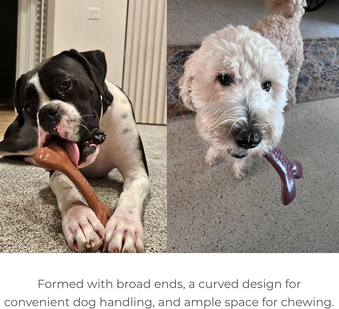 2-Pack Non-Toxic Dog Toys - Sustainable Beef Flavored Dog Chew Toys for Aggressive Chewers - Plant-Based Bioplastic Pet Toys - Made in The USA (Mini)